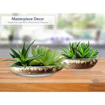 Royal Imports 10" Clear Plastic Saucer Plant Drip Tray, Deep Pie Plate, Floral Flower Dish, Wedding, Party, Home and Holiday Decor, 6 Pack