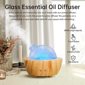 Elegant Glass Essential Oil Diffuser with LED Lights