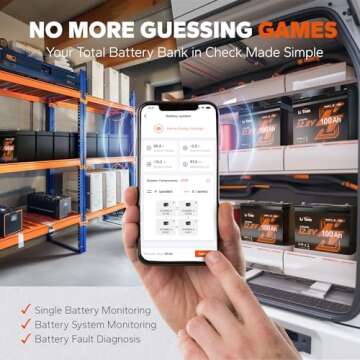 LiTime 12V 100Ah Group 24 Bluetooth LiFePO4 Battery, Deep Cycle Lithium Battery, Built-in 100A BMS w...