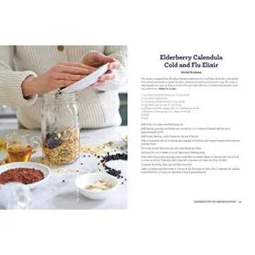 Everything Elderberry Guide for Foraging and Cooking