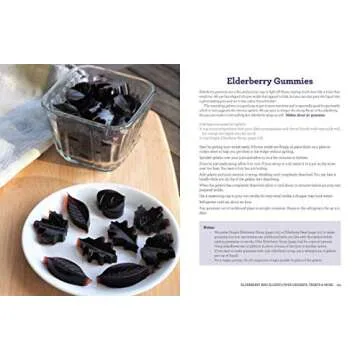 Everything Elderberry Guide for Foraging and Cooking