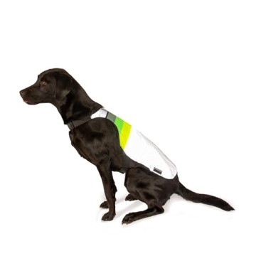 High-Visibility GOFLUO Moonlight Reflective Dog Coat - Northern Light - XXS