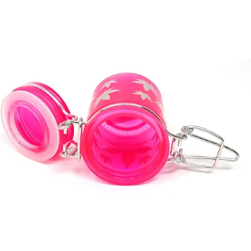 Chic Airtight Glass Mini Storage Jar in Neon Pink
