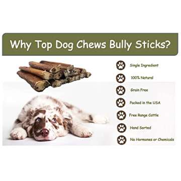 Top Dog Chews - 6" Bully Sticks - 100% All Natural from Free Ranging, Grass-Fed Beef - 25 Pack