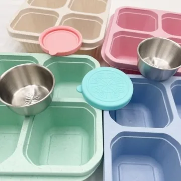 Reusable 4-Compartment Bento Box Set for Meal Prep