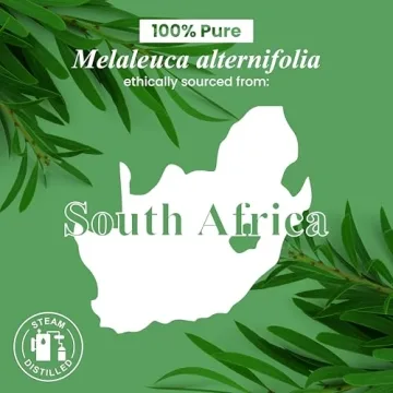 Premium Quality Tea Tree Essential Oil for Aromatherapy