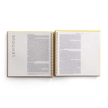 NIV Illustrating Bible Yellow for Personal Reflection and Art