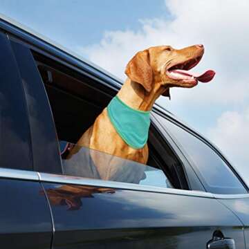 Instant Cooling Bandana for Dogs - 2 Pack Ice Dog Bandanas, Breathable Dog Cooling Vest, Dog Collars, Heat Dissipation Triangle Scarfs Kerchiefs for Hot Days & Summer