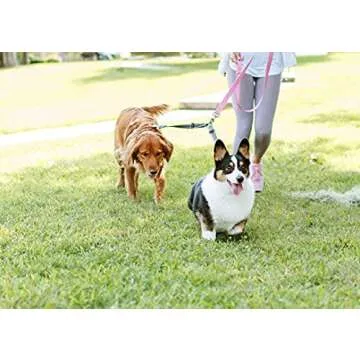 Cajun Reflective Double Dog Leash - Adjustable & Tangle-Free