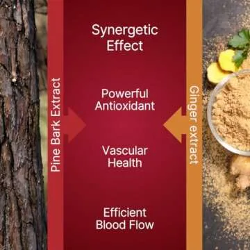 TRAVELSANA Long-Haul Circulation for Travel Comfort