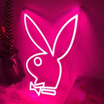 Neon Signs-Acrylic Lights Signs Indoor Bedroom Decor Wall Led Neon Sign Backdrop Flex 23.6×16.3 IN Bar Christmas Party Wedding Boy Living Room Shop Store Pink