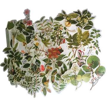 Vintage Washi Sticker Set (4 Pack, 240 Pieces) Retro Floral Green Plant Fruit Mushroom Flower DIY Decorative Label for Scrapbooking Cup Cellphone Gift Wrapping Letter Card Art Project Craft