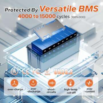 LiTime 12V 200Ah LiFePO4 Lithium Battery with 2560Wh Energy Max. 1280W Load Power Built-in 100A BMS,10 Years Lifetime 4000+ Cycles, Perfect for RV Solar Energy Storage Marine Trolling Motor