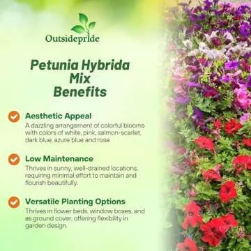 Outsidepride Hybrida Mix Petunia Seeds - Vibrant Blooms