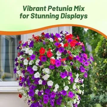 Outsidepride Hybrida Mix Petunia Seeds - Vibrant Blooms