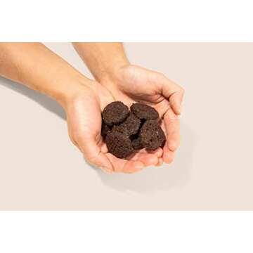 6pk Double Chocolate + Chocholate Chip