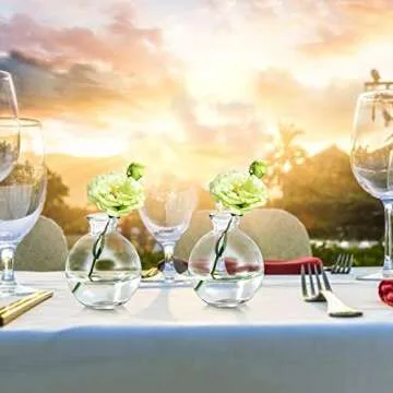 SOUJOY Set of 12 Small Glass Ball Bud Vase, Unique Mini Low Sitting Flower Vase, Clear Floral Centerpieces for Home Decor, Weddings, Floral Arrangements, Events, Parties