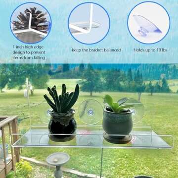Window Shelf for Plants 12 Inch 2 Pack, Suction Cup Clear Acrylic Indoor Plant Shelf Window Ledge Garden- Window Sill Extender for Micro greens Kit, Seed Starter Pots, Planters