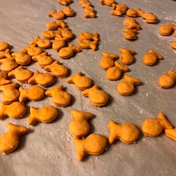 Shop Fish Cookie Cutter Multi x5 for Creative Baking Fun