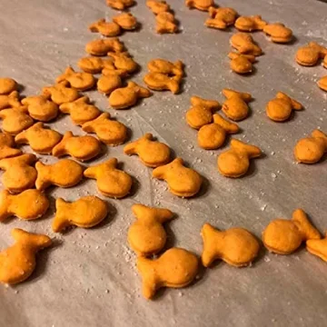 Shop Fish Cookie Cutter Multi x5 for Creative Baking Fun