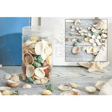 Mixed Beach Seashells for Crafts and Decor - 80-85pcs