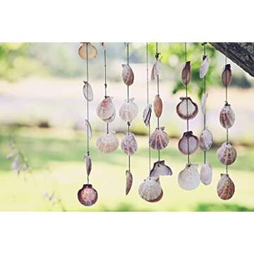 80~85pcs Sea Shells Mixed Beach Seashells for Beach Theme Party Wedding Decorations DIY Crafts Candle Making Fish Tank Vase Fillers Home Decorations Supplies