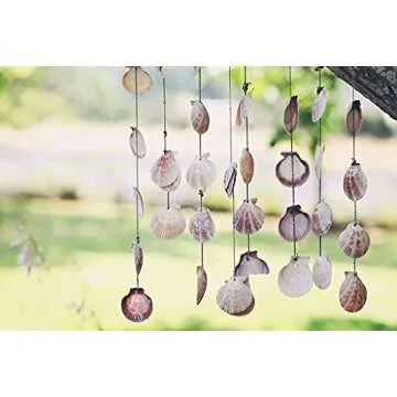 Mixed Beach Seashells for Crafts and Decor - 80-85pcs