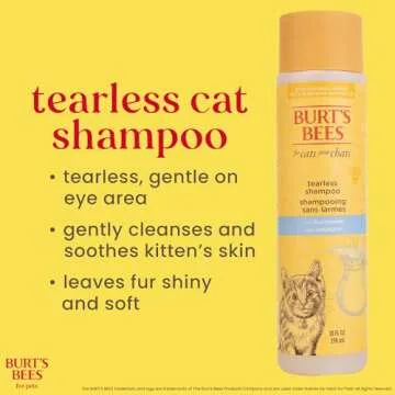 Burt's Bees for Pets Tearless Kitten Shampoo with Buttermilk, 99.3% Natural Origin Formulas, Pet Shampoo for Cats, Gentle Cat Shampoo, Cat Shampoo for Itchy Skin, 10 oz