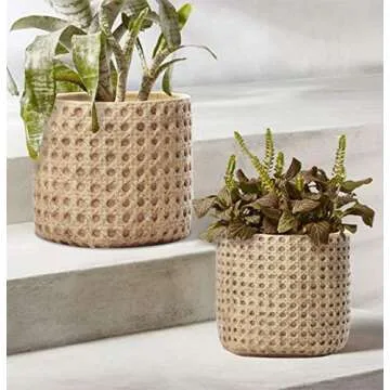 SAROSORA Ceramic Flower Pots Cement Succulent Planter 5.7" with Drainage Hole Weave Pattern for Indoor Outdoor Home Garden Decoration (1, 5.7'')