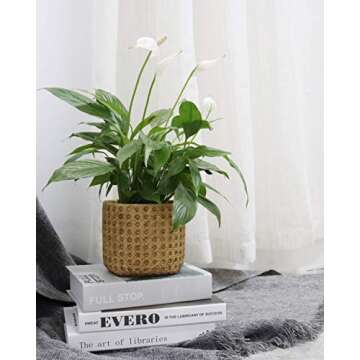 SAROSORA Ceramic Flower Pots Cement Succulent Planter 5.7" with Drainage Hole Weave Pattern for Indoor Outdoor Home Garden Decoration (1, 5.7'')