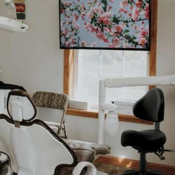 DR.LOMILOMI Pneumatic Swivel Rolling Saddle Chair with Wheels and Ergonomic Back Support for Hair St...