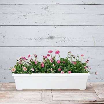 Countryside Flower Box Planter, White, 30-Inch