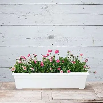 Countryside Flower Box Planter, White, 30-Inch