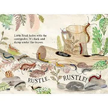 Little Snail's Book of Bugs for Curious Toddlers