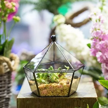 Geometric Glass Terrarium for Plants and Candles