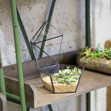 Geometric Glass Terrarium for Plants and Candles