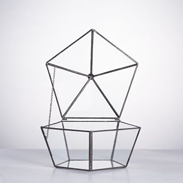 Geometric Glass Terrarium for Plants and Candles