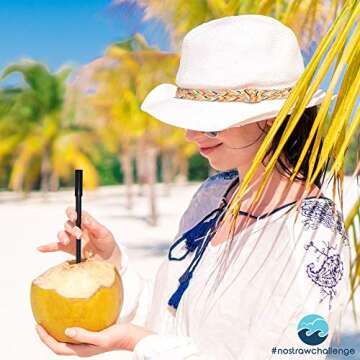 Reusable Metal Straws for Drinking - Collapsible Folding Stainless Steel Portable Straw Set with Case and Cleaning Brush by #nostrawchallenge - Black Colour