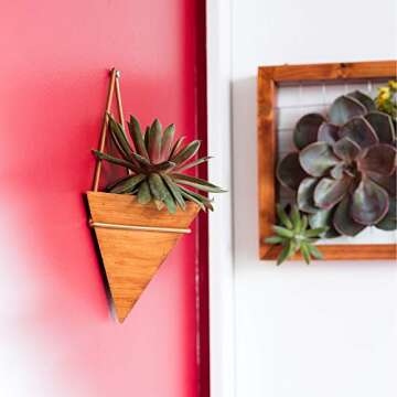 Artisanal Geometric Air Plant Holder – Made From High­Quality, Sustainably Sourced Wood – Minimalist Style & Easy­To­Hang Design – Ethical Geometric Wall Decor Air Plant