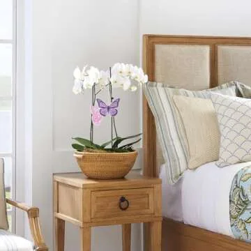 ANGOLIO 4Pcs Y2k 2000s Pink Car Air Freshener Purple Butterfly Leopard Bunny Pink Heart Fragrance Hanging Slice Car Diffuser Ornament Essential Oil Pendant Gift for Car Interior Accessories Home Decor