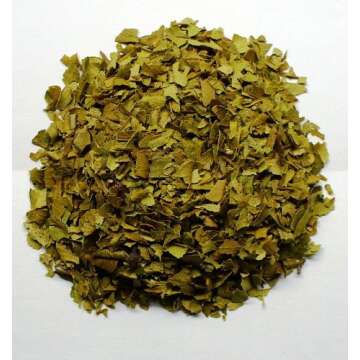 Biblical Myrtle Herb Plant - Aromatic Topiary - 4.5" Pot