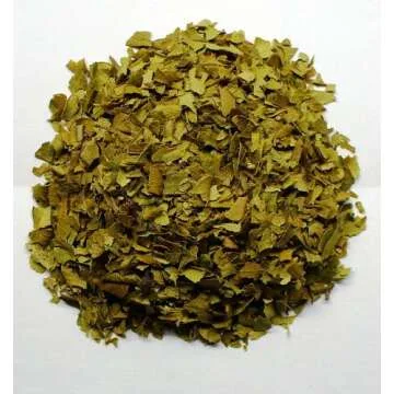 Biblical Myrtle Herb Plant - Aromatic Topiary - 4.5" Pot