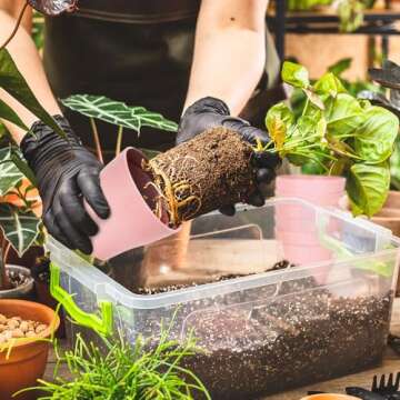 8 Pcs Flower Pots for Indoor and Outdoor Gardening - Durable & Stylish