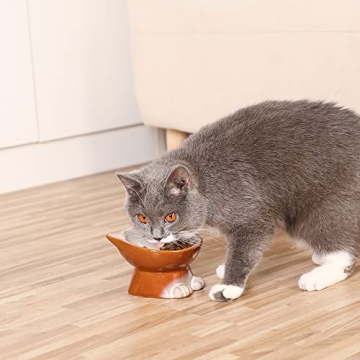 Elegant Nihow Elevated Cat/Dog Bowls for Comfortable Feeding