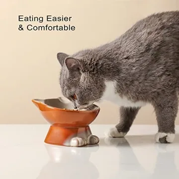 Elegant Nihow Elevated Cat/Dog Bowls for Comfortable Feeding