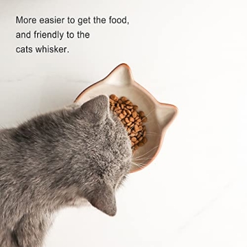 Elegant Nihow Elevated Cat/Dog Bowls for Comfortable Feeding