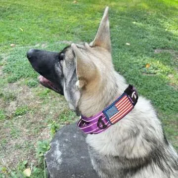 Durable Tactical Dog Collar with Personalization for Large Dogs