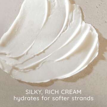 Aveeno Blackberry Quinoa Protein Conditioner 12 Fl Oz