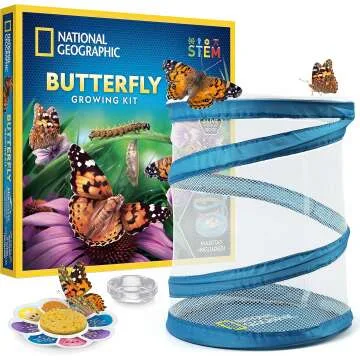 Nat Geo Caterpillar Kit: Grow Your Own Butterflies