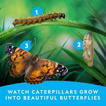 Nat Geo Caterpillar Kit: Grow Your Own Butterflies